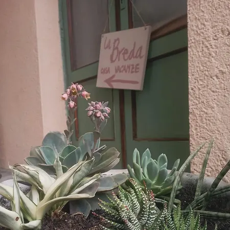 Homestay La Breda